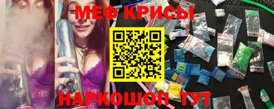 apvp Бийск