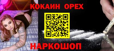 apvp Бийск