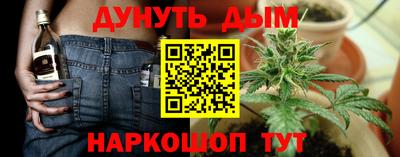 apvp Бийск