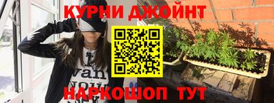 apvp Бийск
