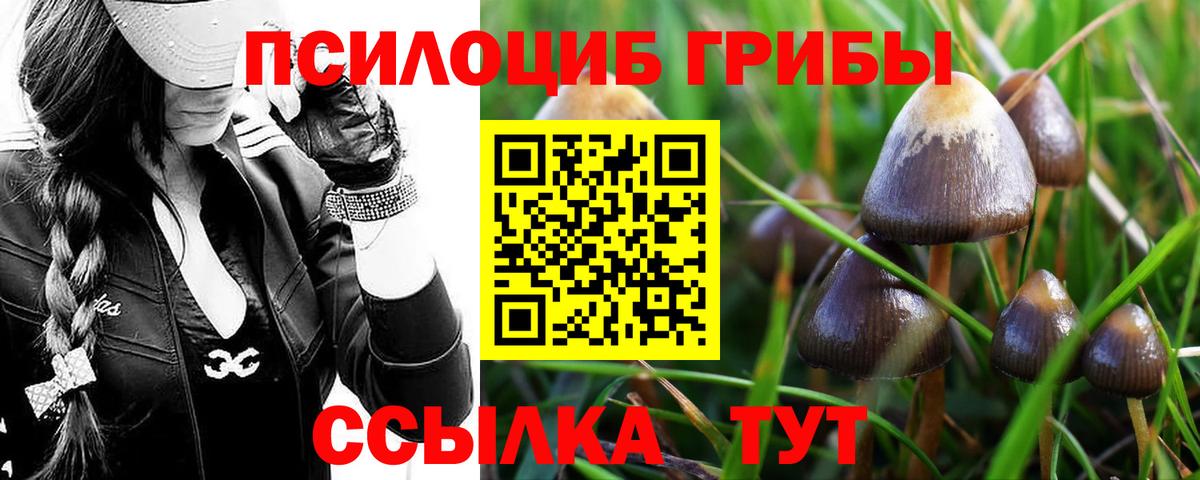 Зеленодольск  Псилоцибиновые грибы мицелий  Вход с VPN 